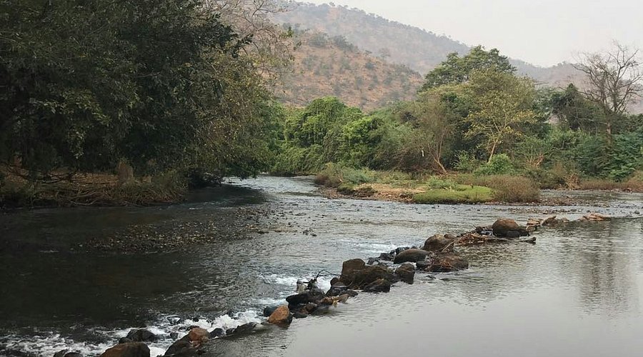 Sathyamangalam Reserve Forest